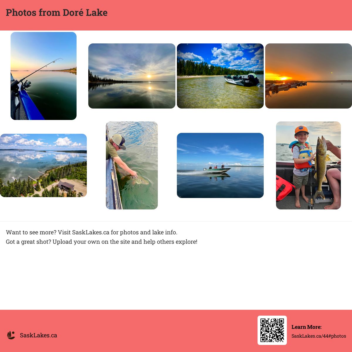 Photos