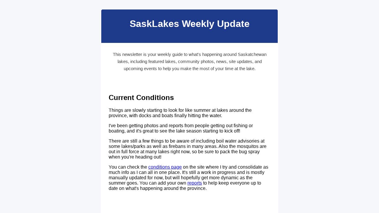 Newsletter Image