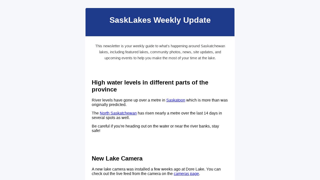 Newsletter Image