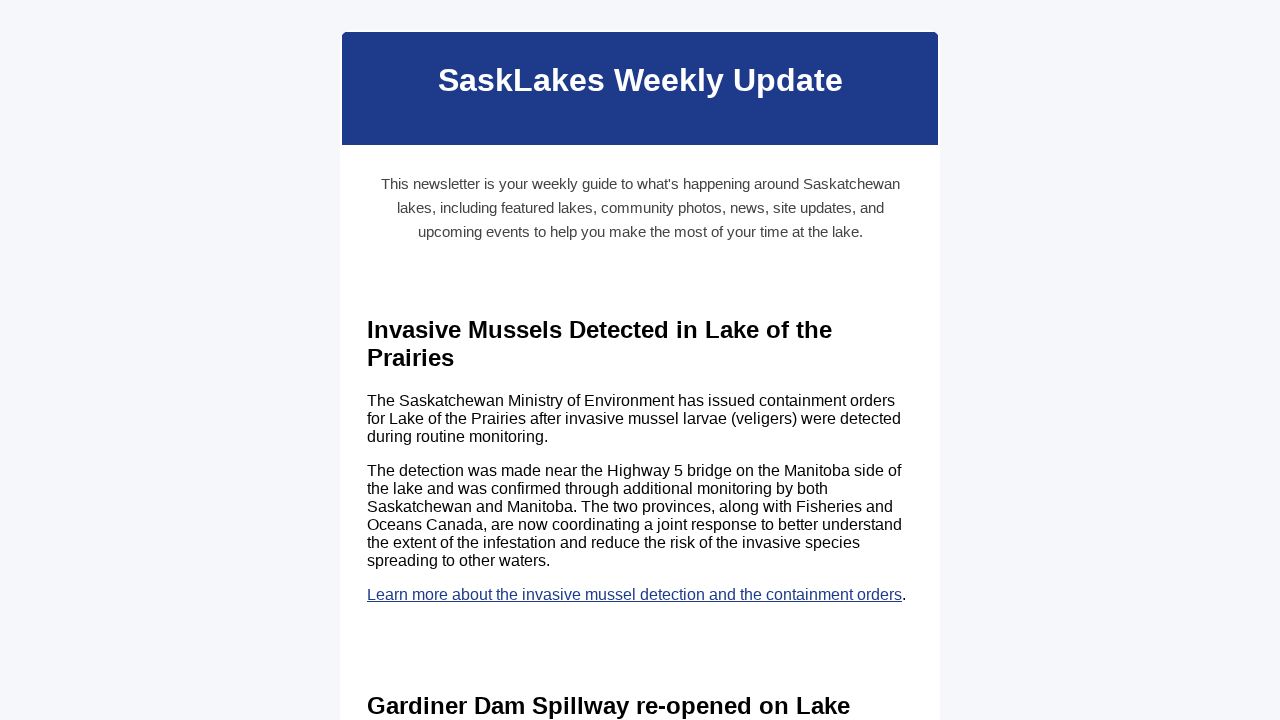 Newsletter Image